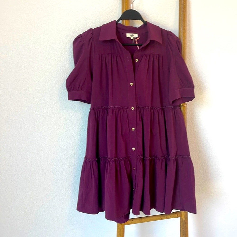 Entro Burgundy Dress